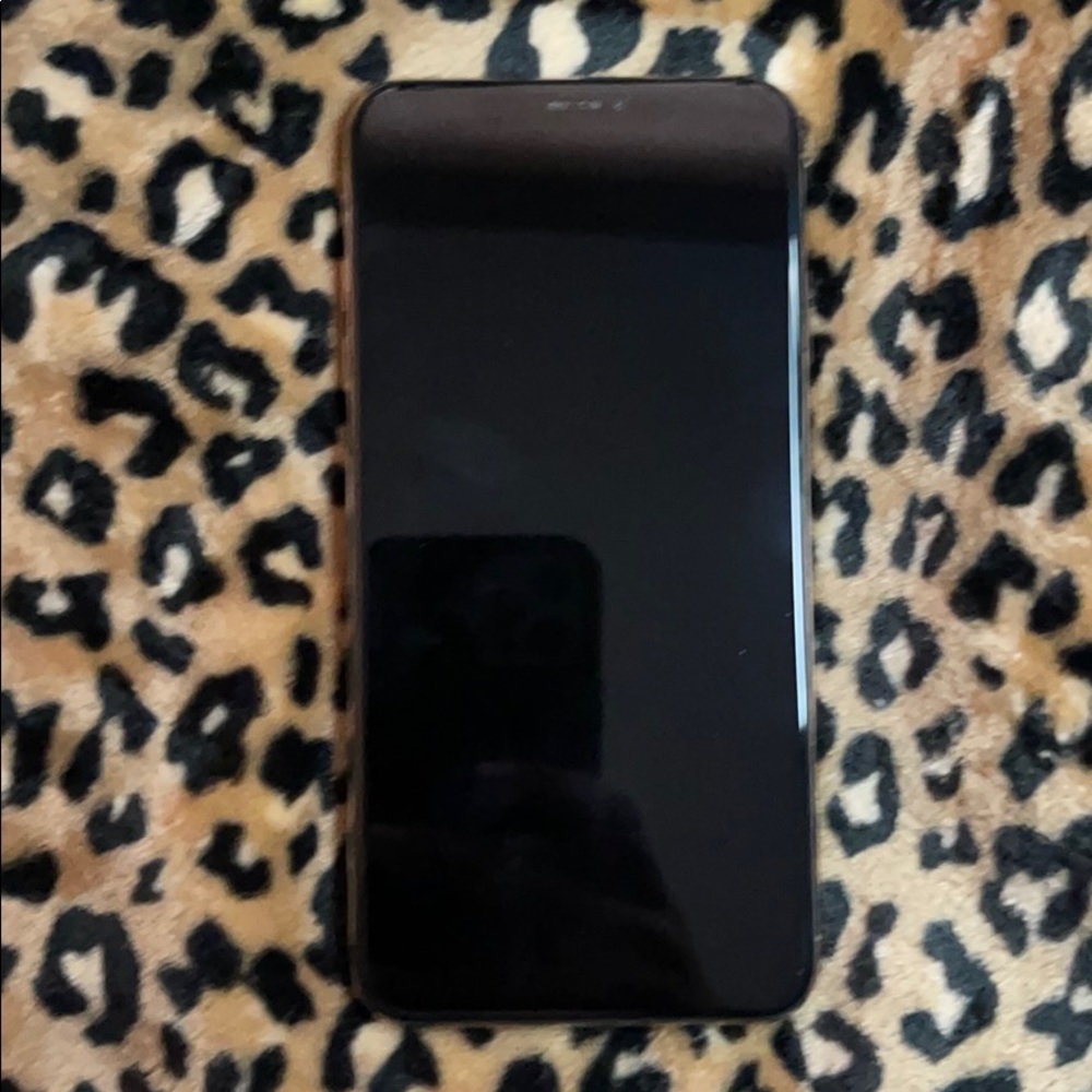 iPhone XS Max in Excellent Condition... No Damage!